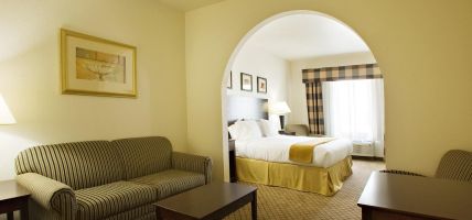 Holiday Inn Express & Suites CHILDRESS (Childress)