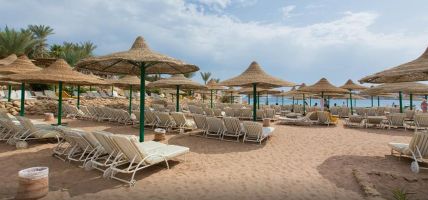 Hotel Oonas Dive Club (Penínsola del Sinaí)