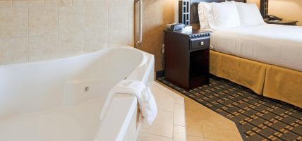 Holiday Inn Express & Suites ENNIS (Ennis)