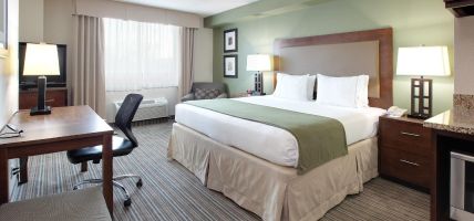 Holiday Inn Express & Suites FORT WORTH DOWNTOWN (Fort Worth)
