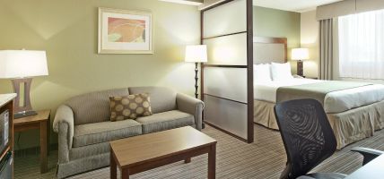 Holiday Inn Express & Suites FORT WORTH DOWNTOWN (Fort Worth)