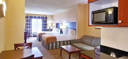 Holiday Inn Express & Suites MILLINGTON-MEMPHIS AREA (Millington)
