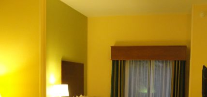 Holiday Inn Hotel & Suites LITHONIA-STONECREST (Lithonia)