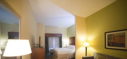 Holiday Inn Hotel & Suites LITHONIA-STONECREST (Lithonia)