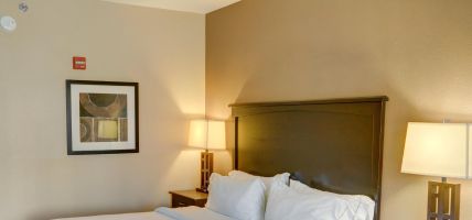 Holiday Inn Express & Suites TEXARKANA EAST (Texarkana)