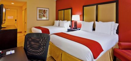 Holiday Inn Express & Suites NASHVILLE-OPRYLAND (Tennessee)