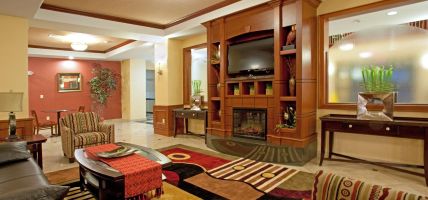 Holiday Inn Express & Suites VIDOR SOUTH (Vidor)