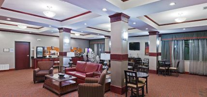 Holiday Inn Express & Suites FORT STOCKTON (Fort Stockton)