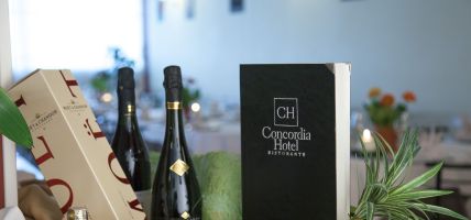 Concordia Hotel (San Possidonio)