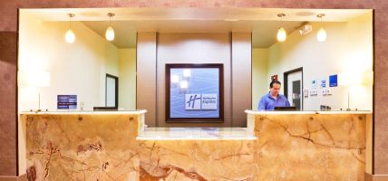 Holiday Inn Express & Suites DALLAS EAST - FAIR PARK (Dallas)