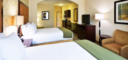 Holiday Inn Express & Suites DALLAS EAST - FAIR PARK (Dallas)