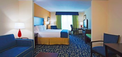 Holiday Inn Express & Suites ORLANDO - APOPKA (Apopka)
