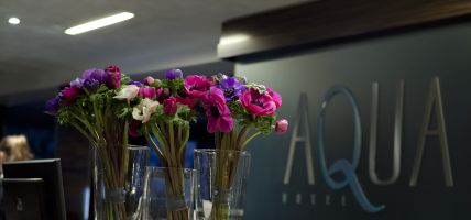 Hotel Aqua lifestyle & business (Rimini)