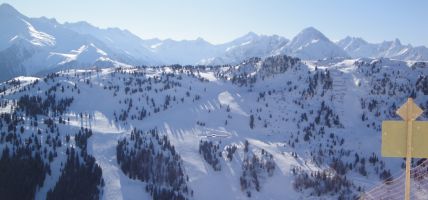 Hotel Eckartauerhof (Mayrhofen)