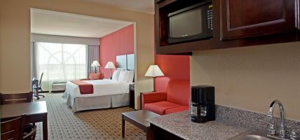 Holiday Inn Express & Suites HOUSTON SPACE CTR - CLEAR LAKE (Webster)