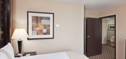 Holiday Inn & Suites TULSA SOUTH (Tulsa)