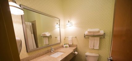 Holiday Inn Express & Suites ATLANTA EAST - LITHONIA (Klondike)