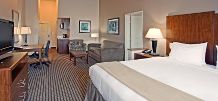 Holiday Inn Express & Suites PORT ARTHUR CENTRAL-MALL AREA (Port Arthur)
