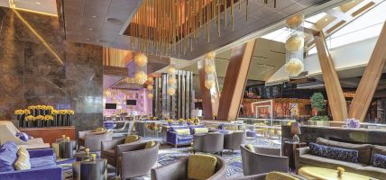Hotel MGM ARIA Resort and Casino (Las Vegas)