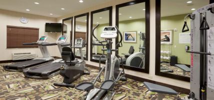 Holiday Inn Express & Suites HOUSTON NW BELTWAY 8-WEST ROAD (Houston)