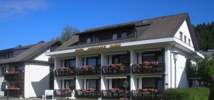 Hotel Rheingold Garni (Titisee-Neustadt - Titisee)