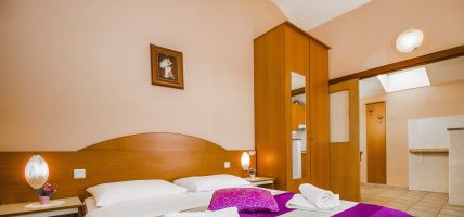 Hotel Zlatna ribica Pansion (Costa Adriatica)