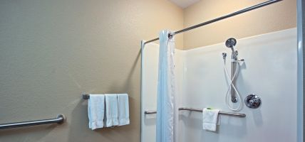 Holiday Inn Express & Suites GREEN BAY EAST (Green Bay)
