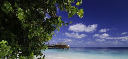 Hotel Mirihi Island Resort (Maldiven)