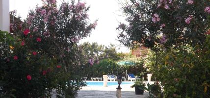 Hotel Paradise bungalows (Girne)