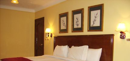 Hotel Mediterranean Suites (Aleksandria)