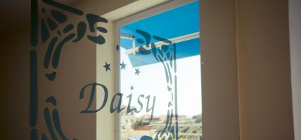 Hotel Daisy (Marina di Massa, Massa)