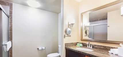 Holiday Inn & Suites DURANGO DOWNTOWN (Durango)