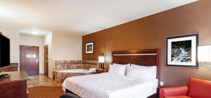 Holiday Inn & Suites DURANGO CENTRAL (Durango)