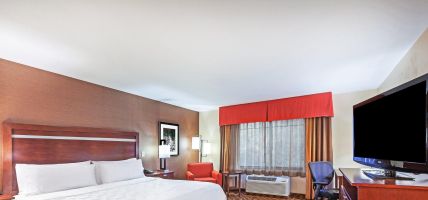 Holiday Inn & Suites DURANGO CENTRAL (Durango)