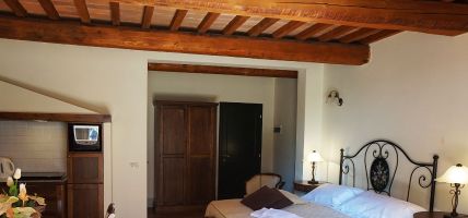 Hotel Borgo Colleoli Resort (Palaia)