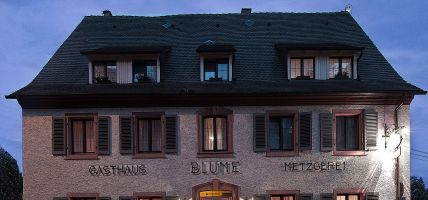 Hotel Das Blümchen (Friburgo )
