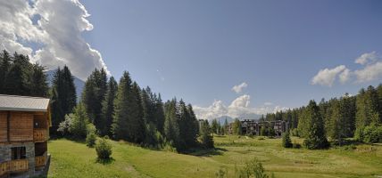 Hotel PRIVÀ Alpine Lodge (Alpes)