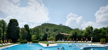 Hotel Terme Preistoriche Resort & Spa (Montegrotto Terme)