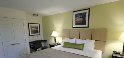 Hotel Candlewood Suites GREENVILLE (Greenville)