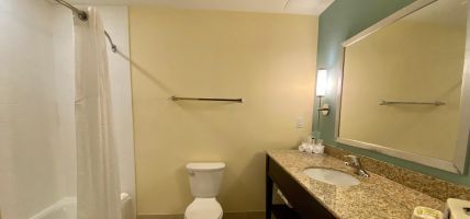 Holiday Inn Express & Suites ORLANDO EAST-UCF AREA (Orlando)