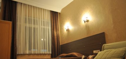 Fatih Erciyes Hotel (Stambuł)