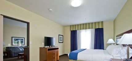 Holiday Inn Express & Suites DENVER EAST-PEORIA STREET (Denver)