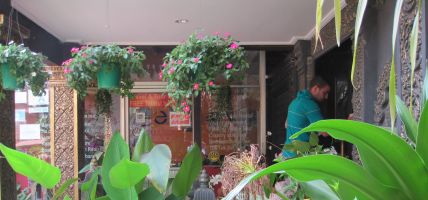 Popular Boutique Hotel (Siem Reap)