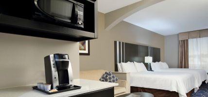 Holiday Inn Express & Suites HOUSTON NORTH - IAH AREA (Houston)