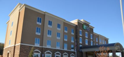 Holiday Inn Express & Suites ALBANY (Albany)
