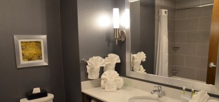 Holiday Inn Express & Suites ALBANY (Albany)