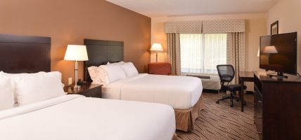 Holiday Inn Express & Suites WASHINGTON - MEADOW LANDS (Houston)