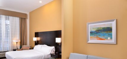Holiday Inn Express & Suites AUSTIN SOUTH (Austin)