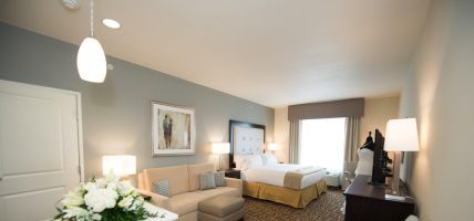 Holiday Inn Express & Suites DENVER SOUTH - CASTLE ROCK (Castle Rock)
