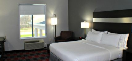 Holiday Inn Express & Suites BONHAM (Bonham)